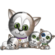 FIV vaccine adjuvant household cat safety sarcoma clades strains efficacy