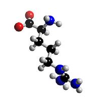 arginine indospicine camel meat toxicity dog hepatic failure liver